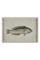 Pearled Coastal Fish Study A - Magpie Style
