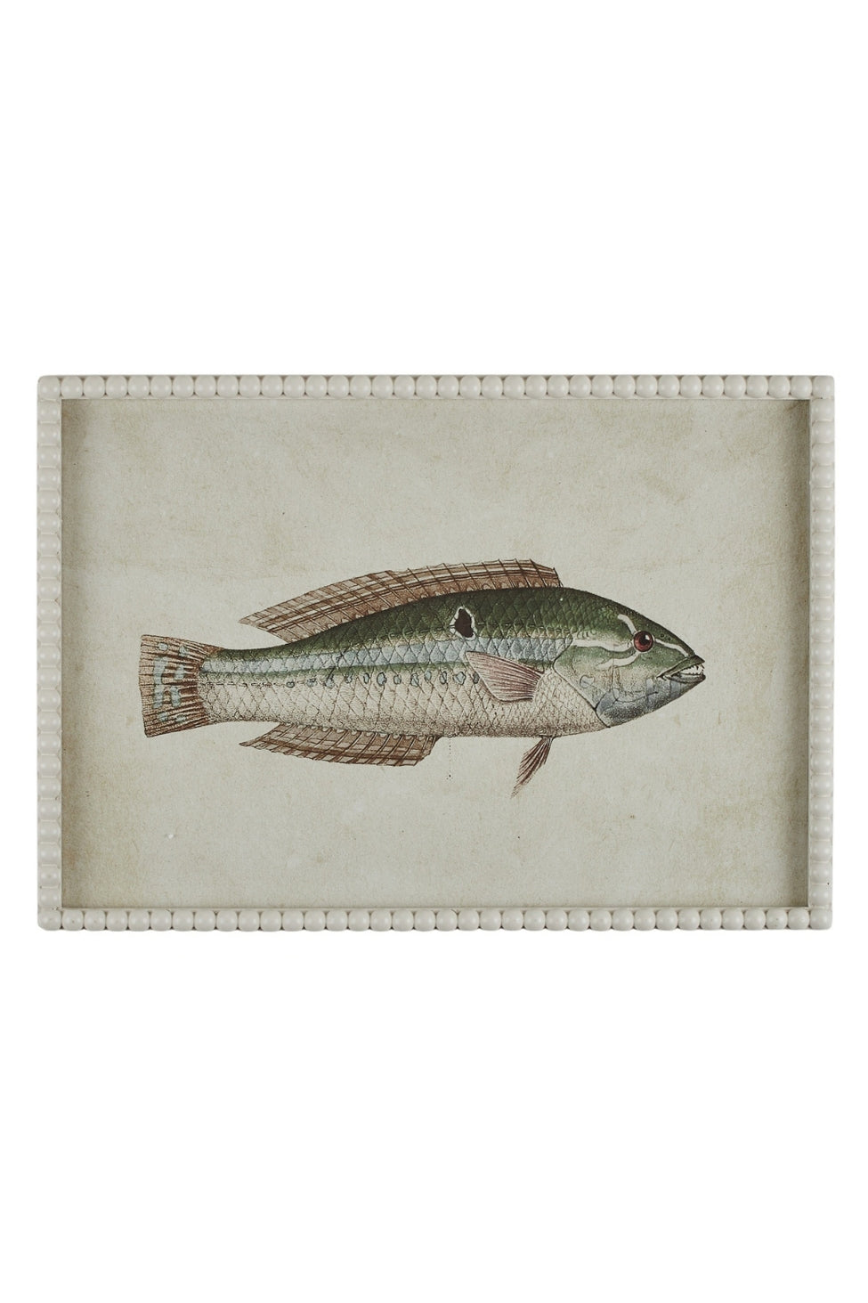 Pearled Coastal Fish Study A - Magpie Style