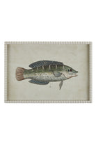 Pearled Coastal Fish Study B - Magpie Style