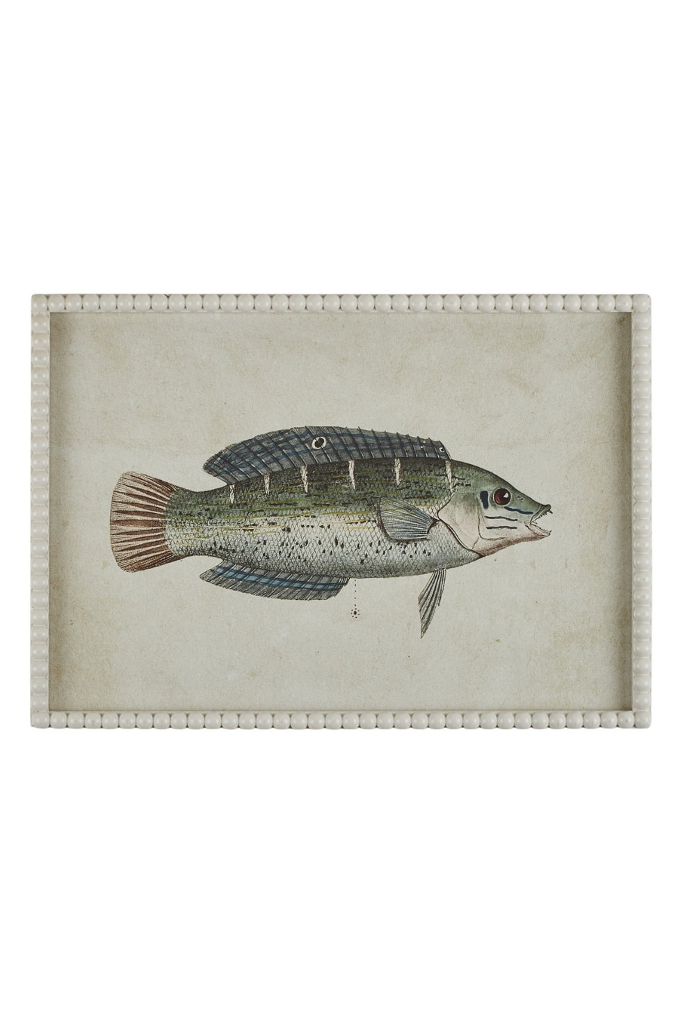 Pearled Coastal Fish Study B - Magpie Style