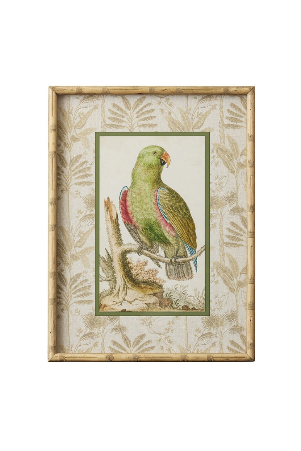 Green Tropical Parrot Bamboo Frame