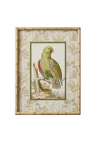 Tropical Parrot Bamboo Frame A - Magpie Style