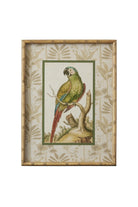 Tropical Parrot Bamboo Frame B - Magpie Style