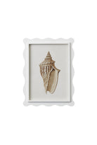 Scalloped Shell Study B - Magpie Style
