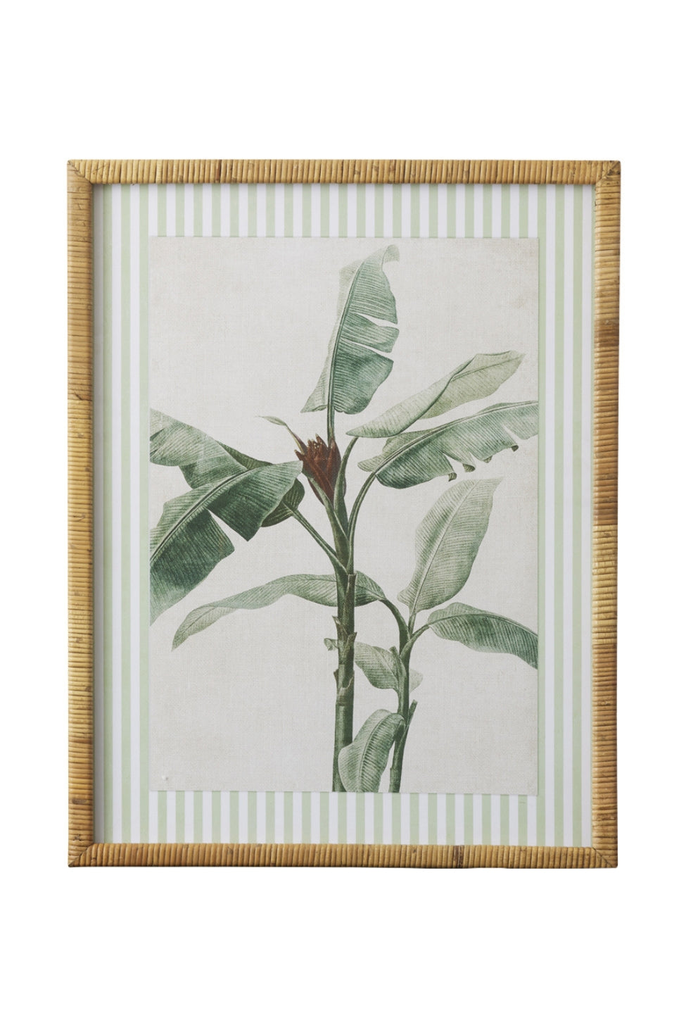 Striped Botanical Palm Study A - Magpie Style