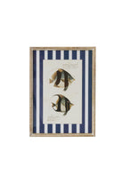 Nautical Stripe Fish Study B - Magpie Style