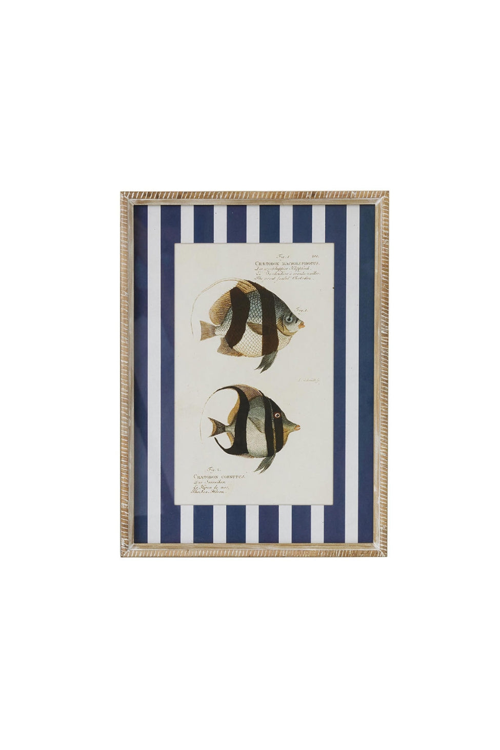 Nautical Stripe Fish Study B - Magpie Style