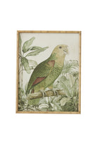 Emerald Canopy Parrot Artwork - Magpie Style