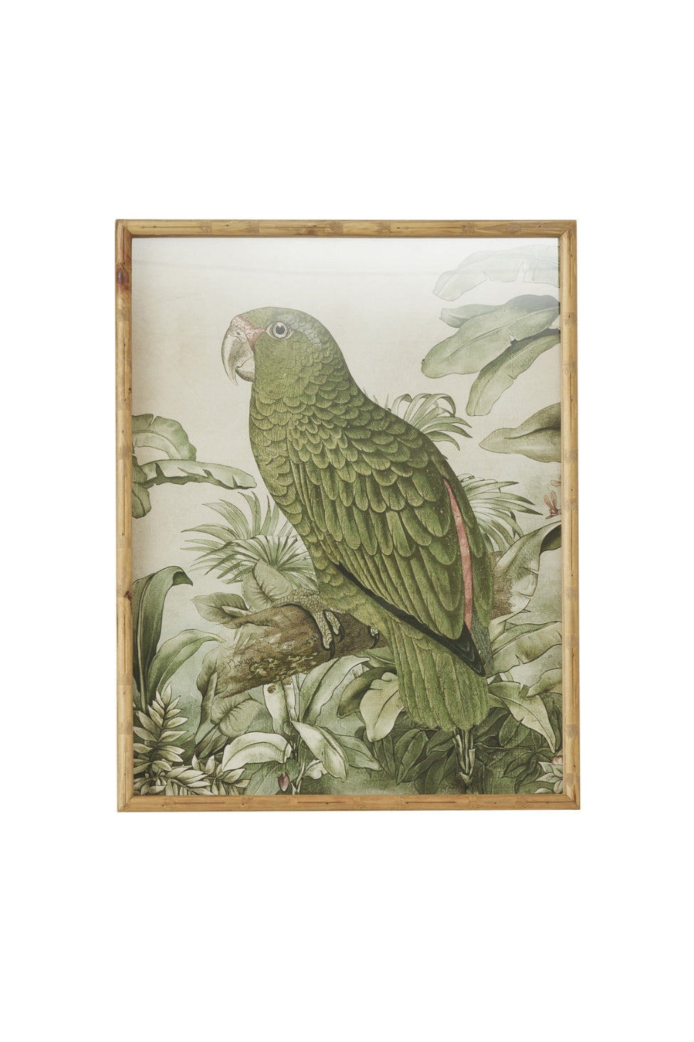 Golden Crown Parrot Artwork - Magpie Style