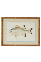 Laguna Reef Fish Study I - Magpie Style