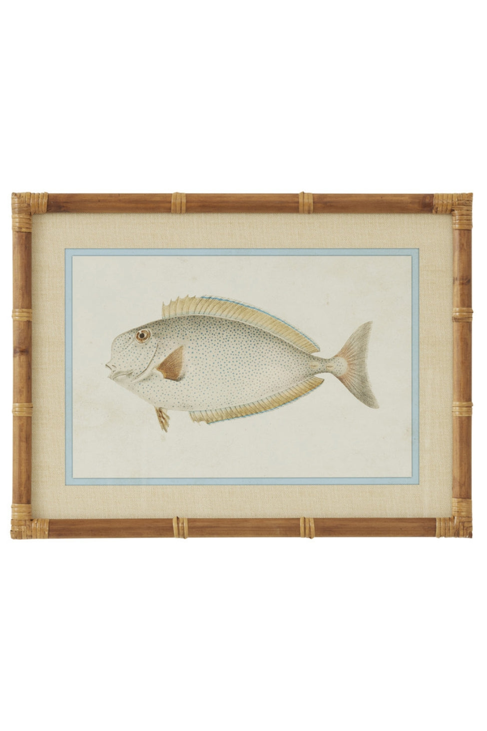 Laguna Reef Fish Study II - Magpie Style