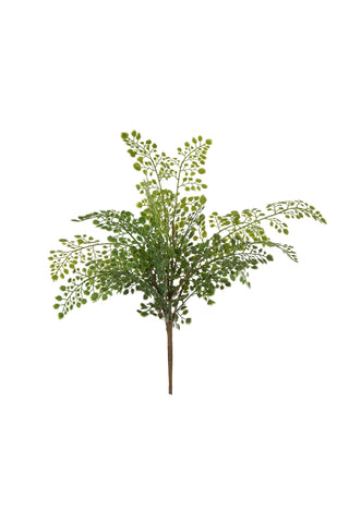 Maidenhair Fern Spray