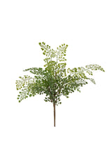 Maidenhair Fern Spray