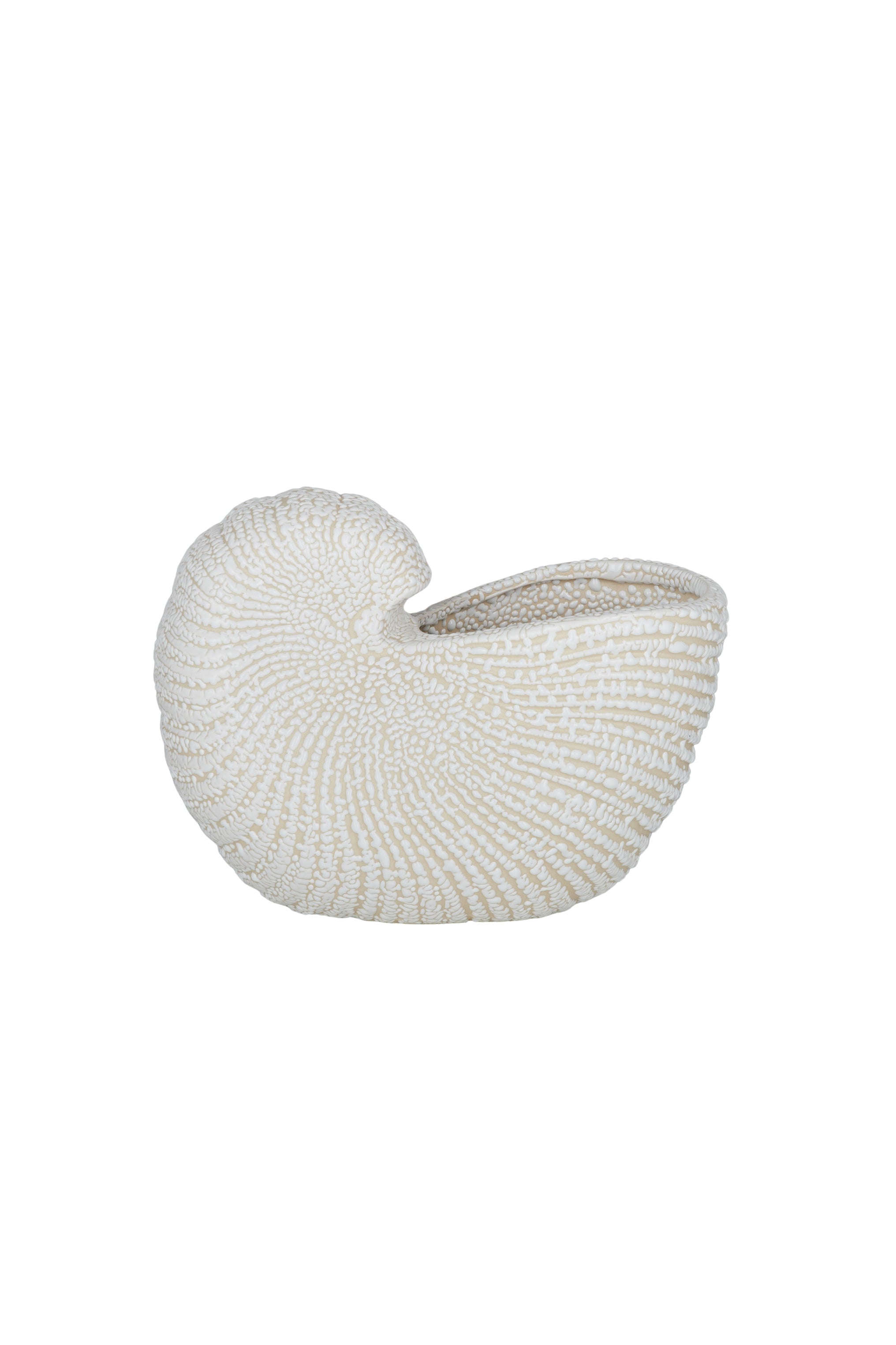Nautilus Ceramic Planter White - Magpie Style