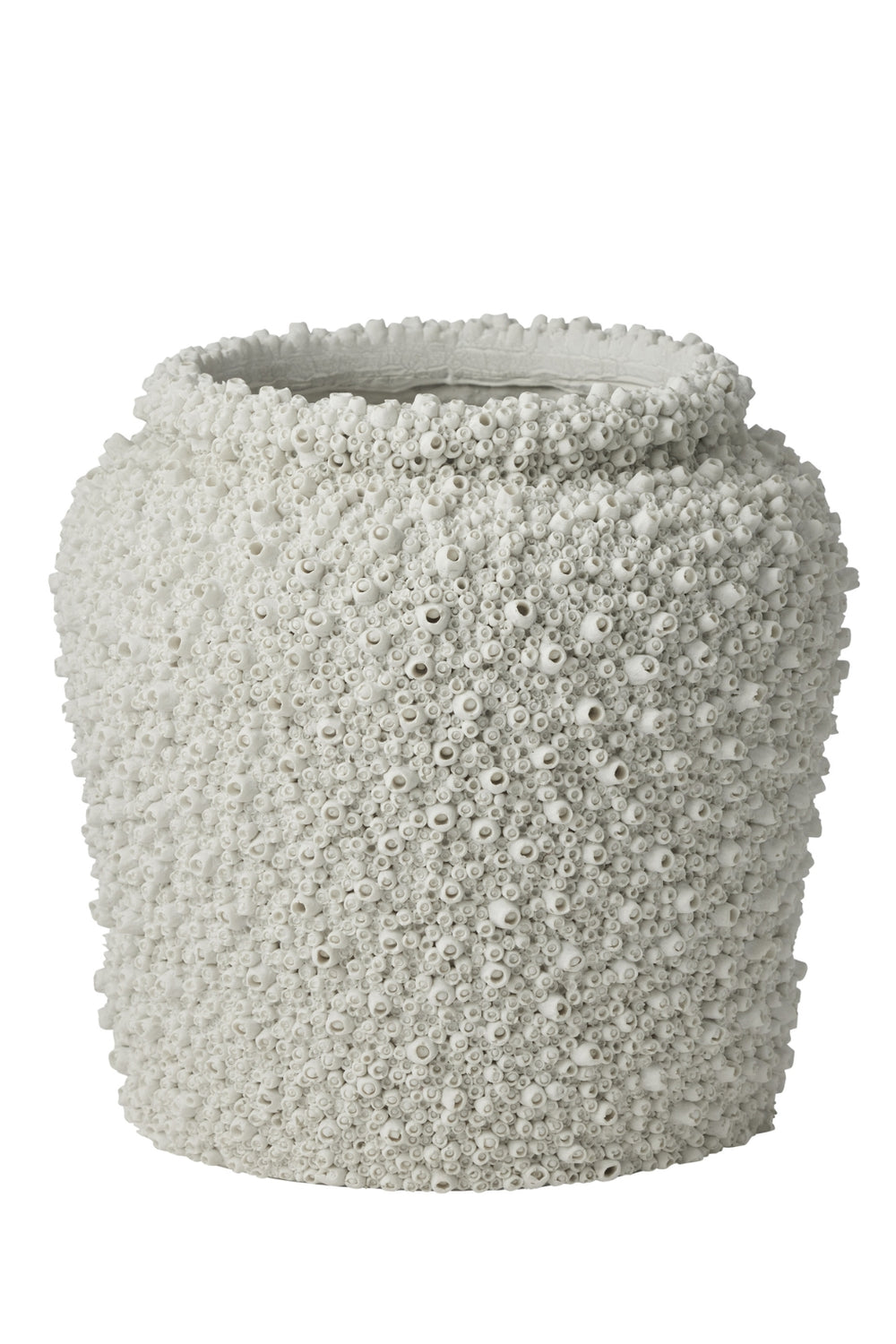Coral Reef Vessel Large