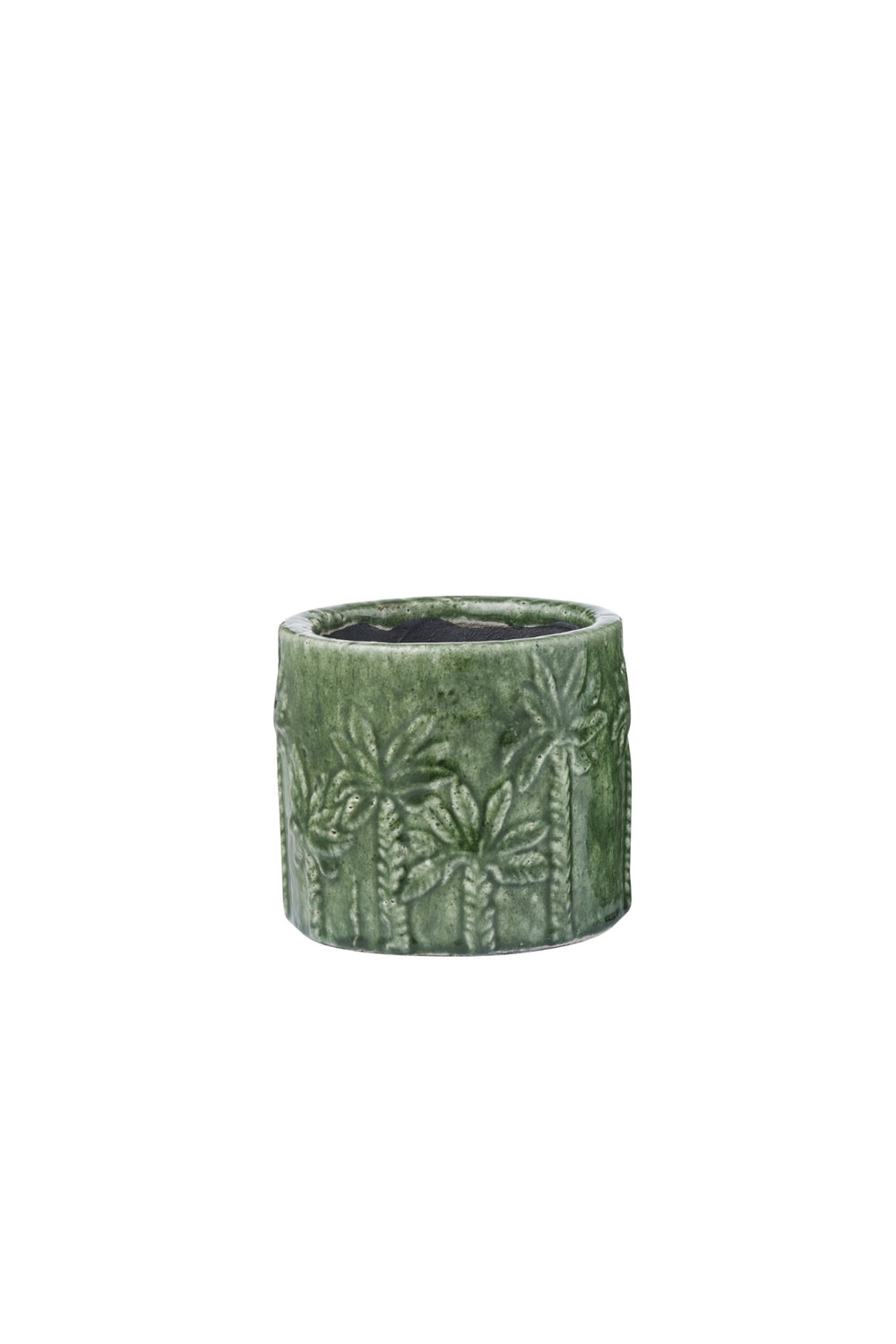 Palm Grove Planter - Small