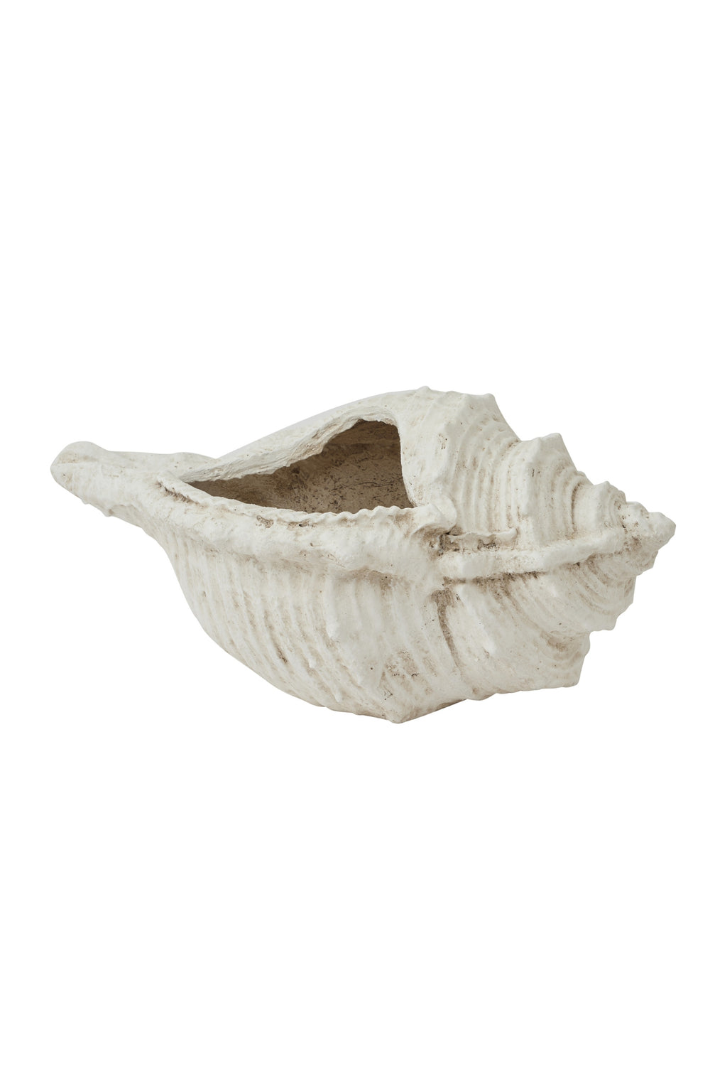 Coastal Conch Planter