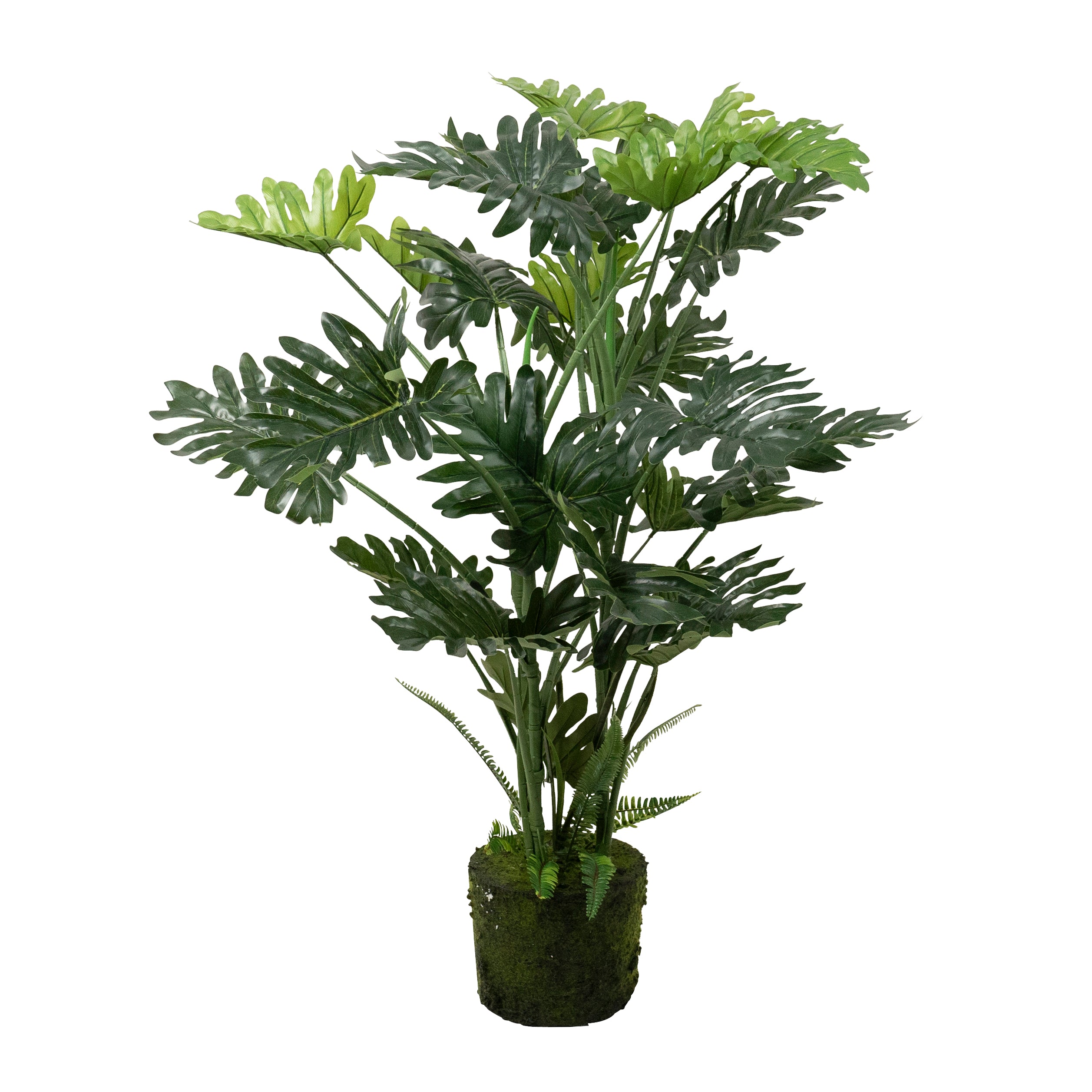 Montsteria Bare Rot Palm Large - Magpie Style