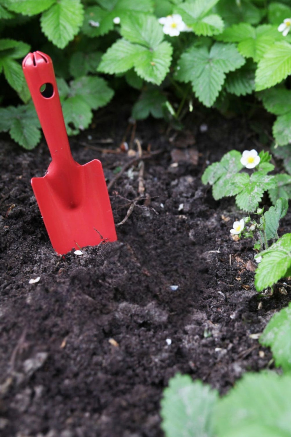 Garden Shovel Red - Magpie Style