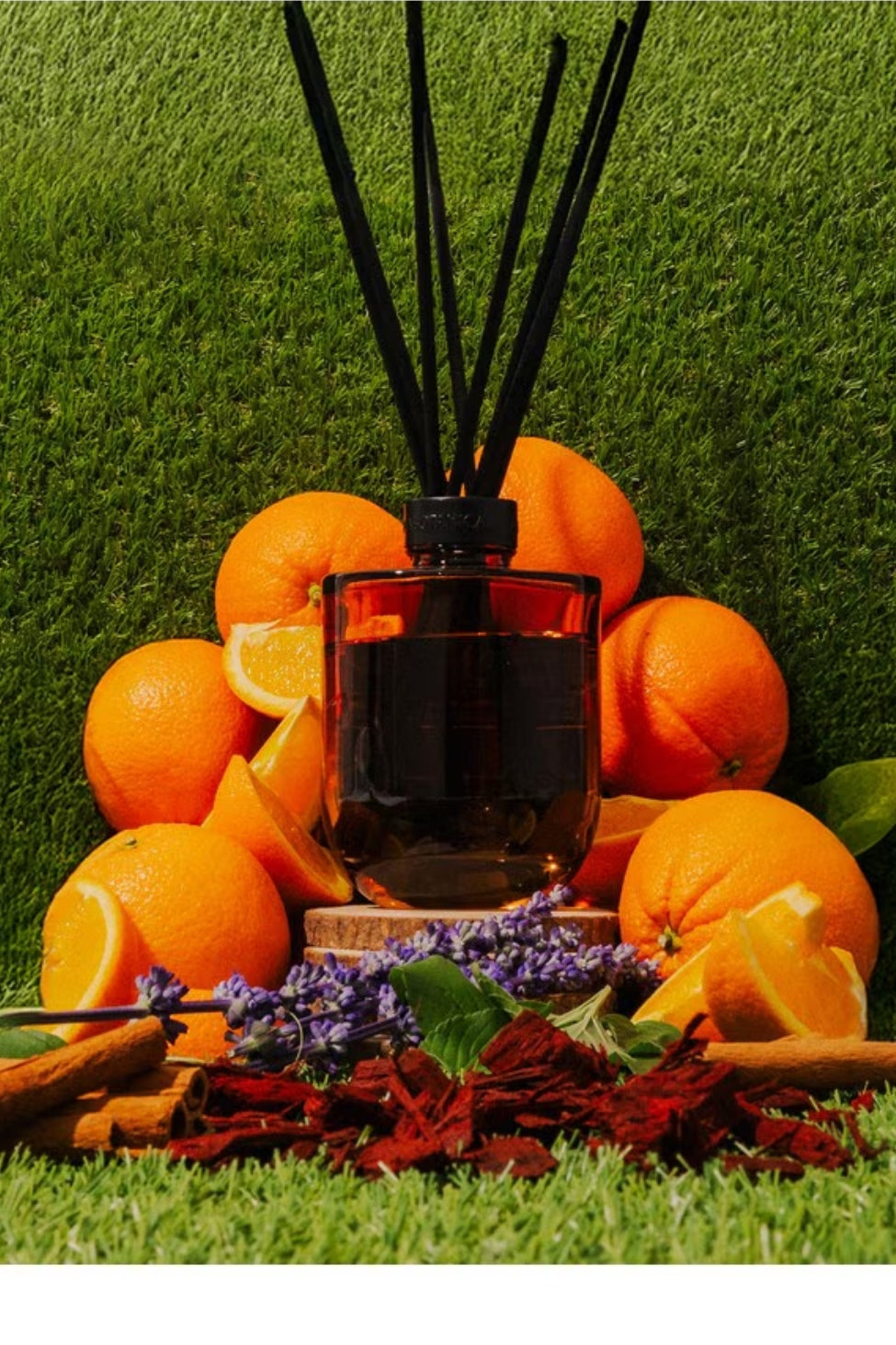 Aroma Botanicals - Sunday Mimosa Diffuser - Magpie Style