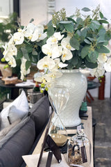 Natural Touch Moth Orchid Stem - XL