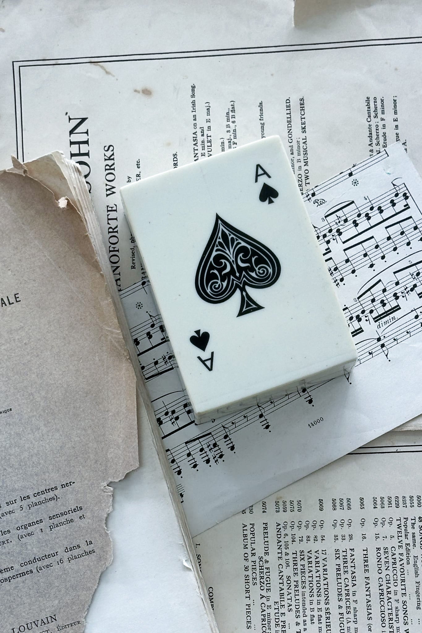 Resin Single Set Card Box Holder - White - Magpie Style