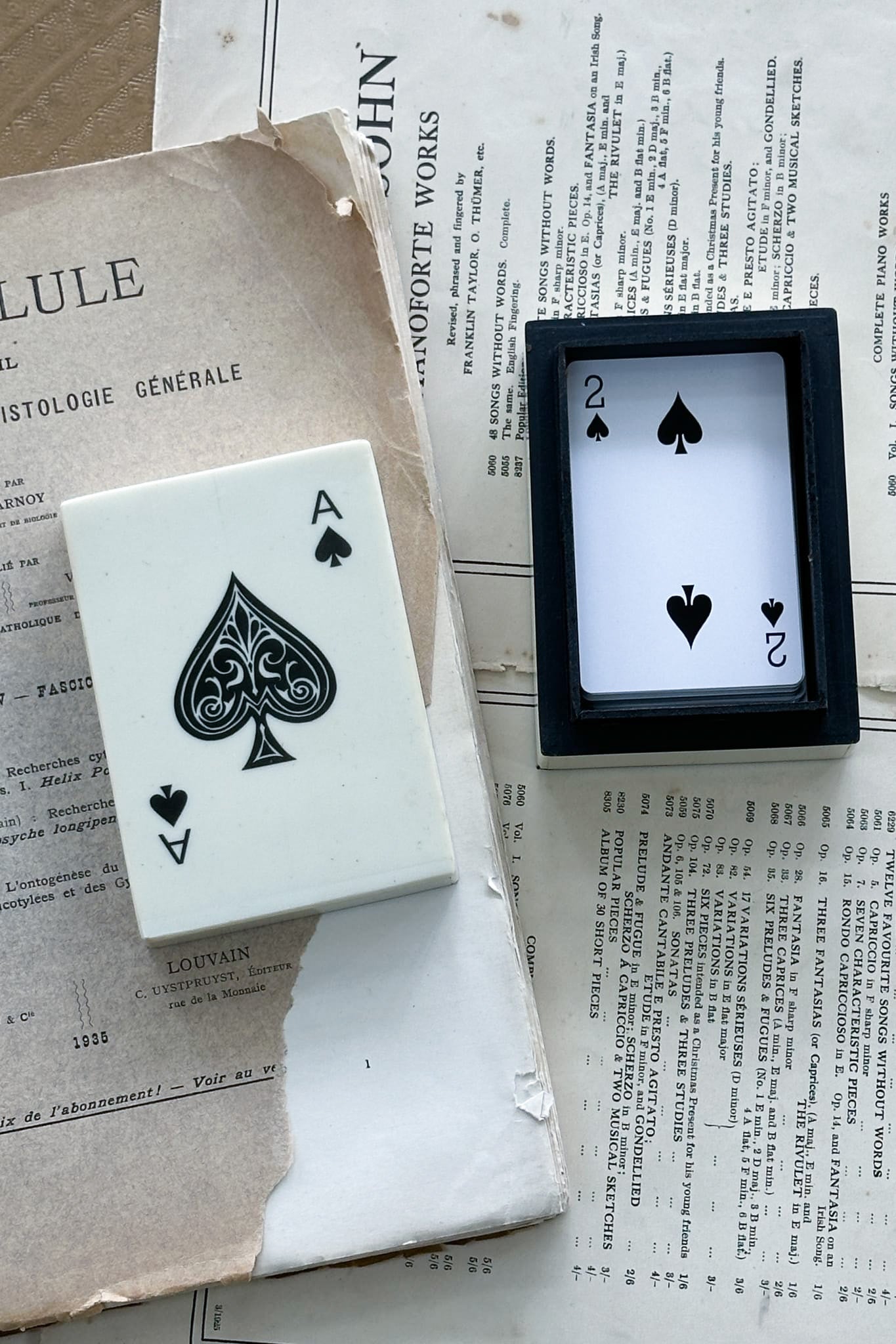 Resin Single Set Card Box Holder - White - Magpie Style