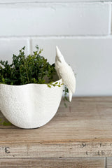 Porcelain Hanging Bird - Cockatoo