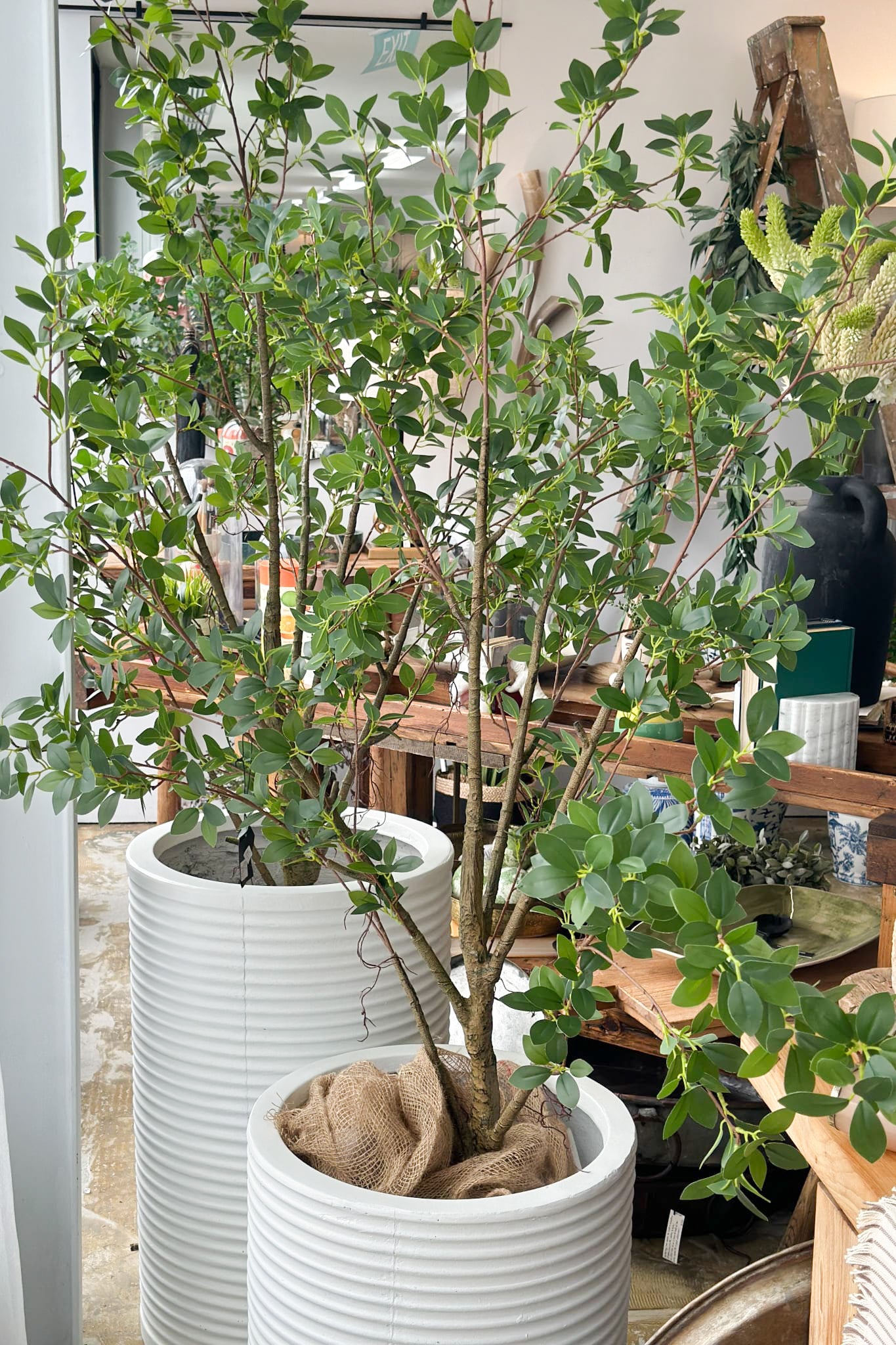 Large Planter - Rustic White - Magpie Style