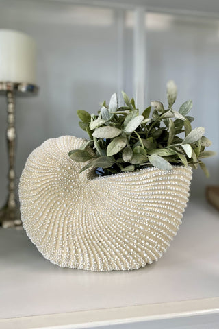 Nautilus Ceramic Planter White