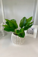 Classic Stripe Small Garden Pot