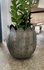 Demi Planter Antique Black Medium