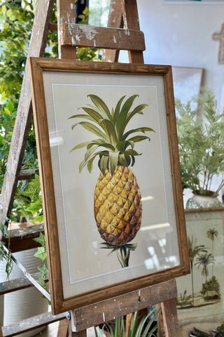 Glass Framed Pineapple Print