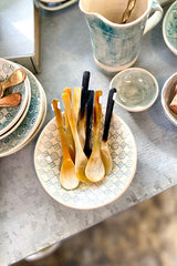 Polished Horn Teaspoon