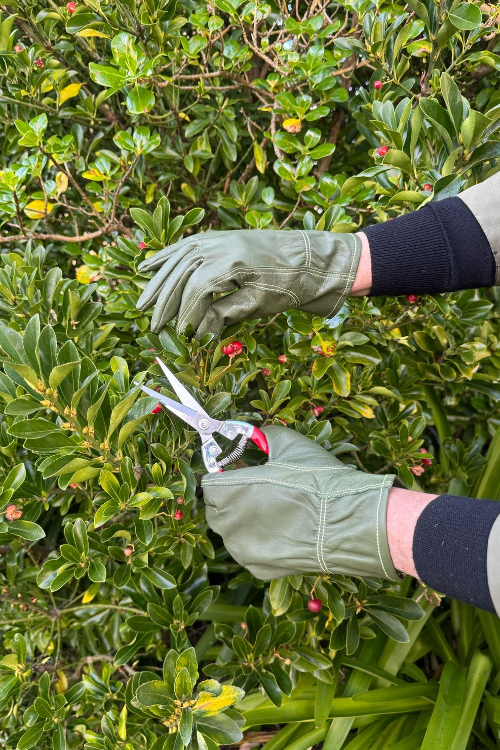 Green Leather Gardening Gloves - Medium