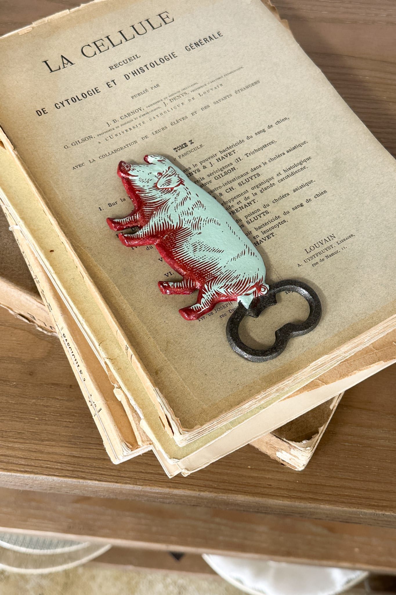 Pig Bottle Opener - Cast Iron - Magpie Style