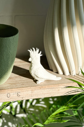 Porcelain Mini Cockatoo