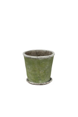 Evergreen Pot & Saucer - Medium