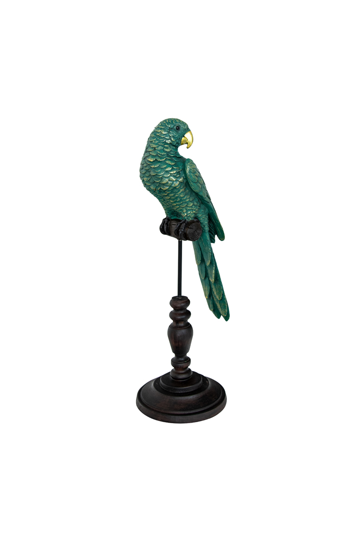 Draper Blue Parrot on Perch