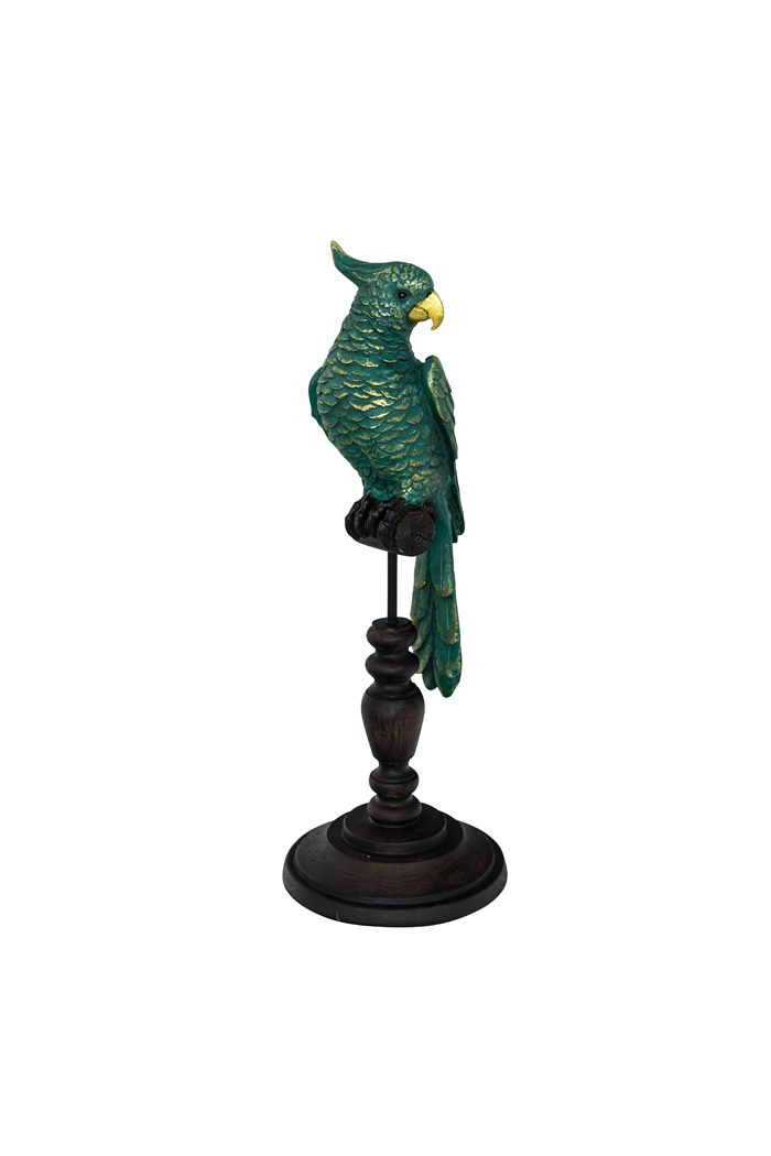 Draper Green Parrot on Perch