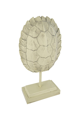 Resin Turtle Shell on Stand
