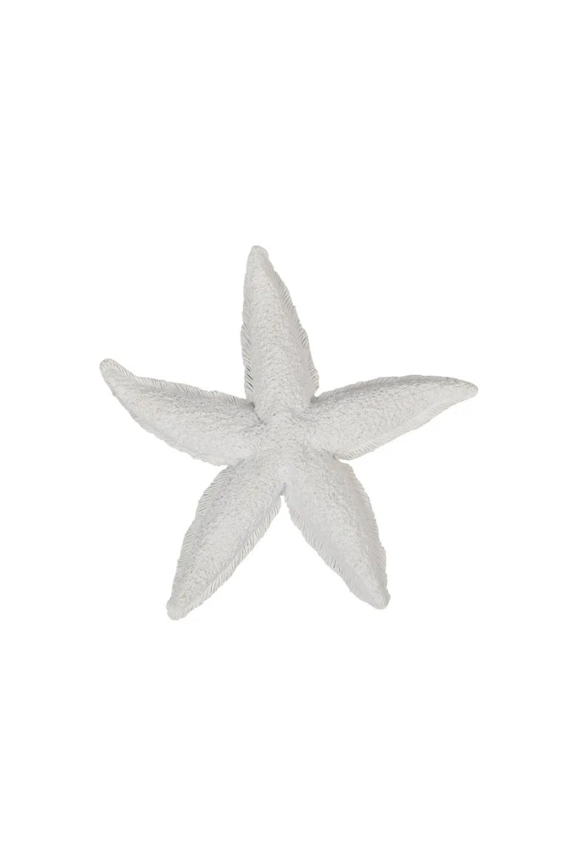 Starfish Resin Sculpture - Magpie Style