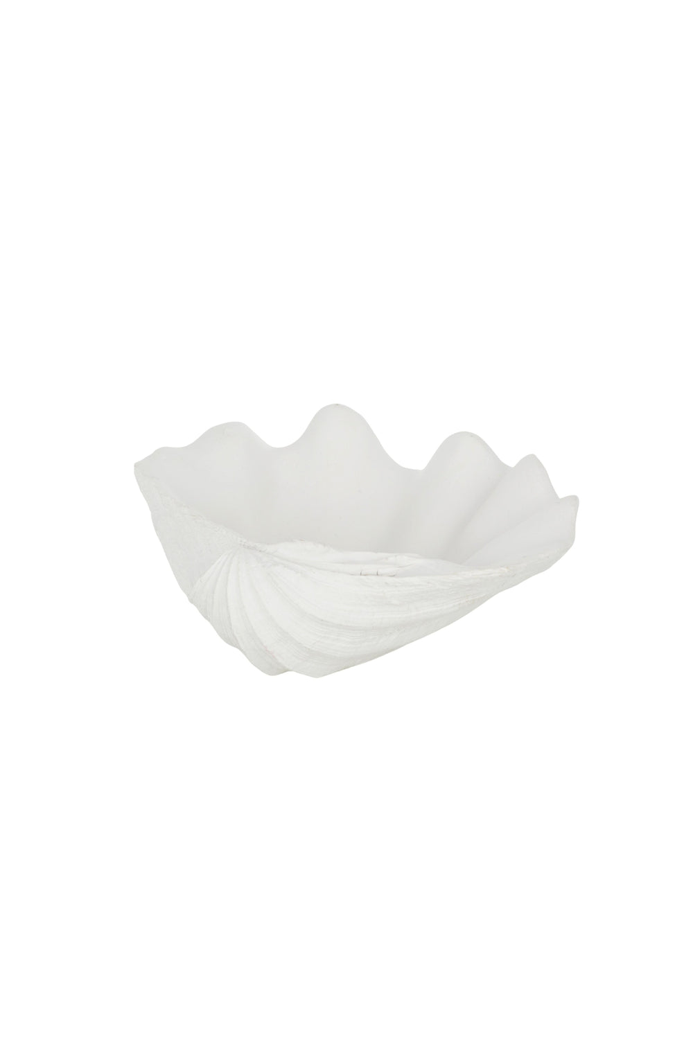 White Shell Decorative Bowl