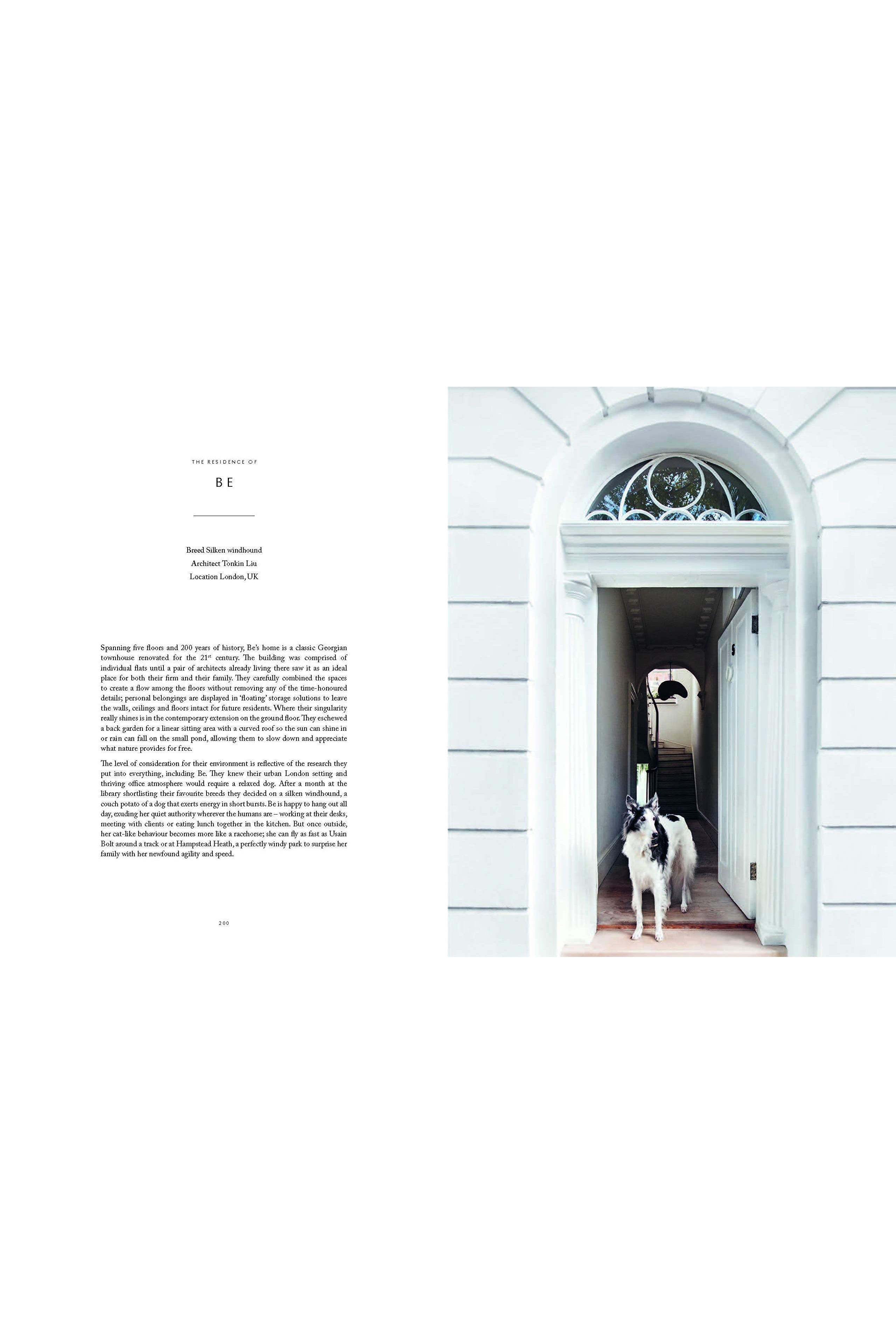 Resident Dog Volume 2 - Magpie Style