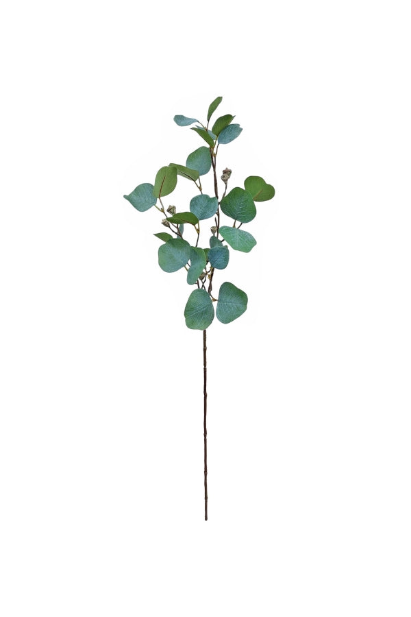 Silver Dollar Spray - Magpie Style