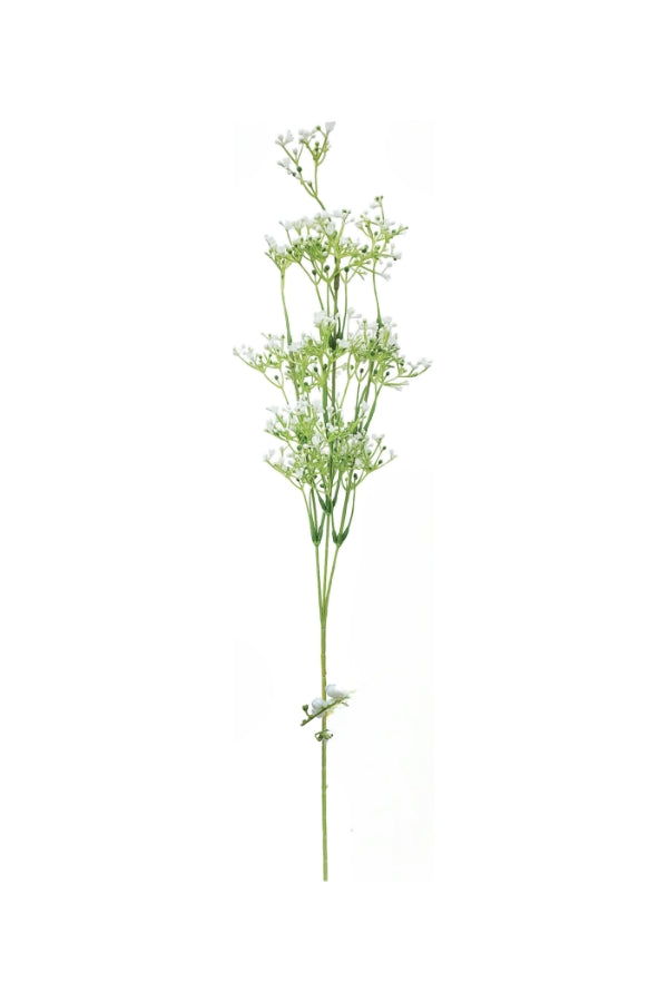 Tall Gypsophila Spray