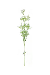 Tall Gypsophila Spray
