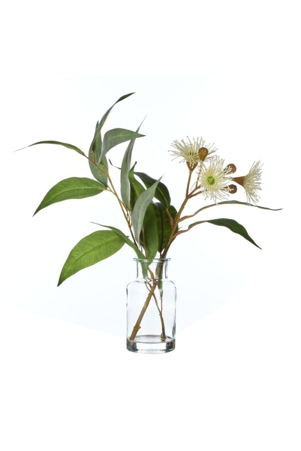 Wattle Spray Green