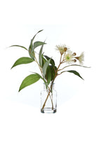 Wattle Spray Green - Specimen - Magpie Style