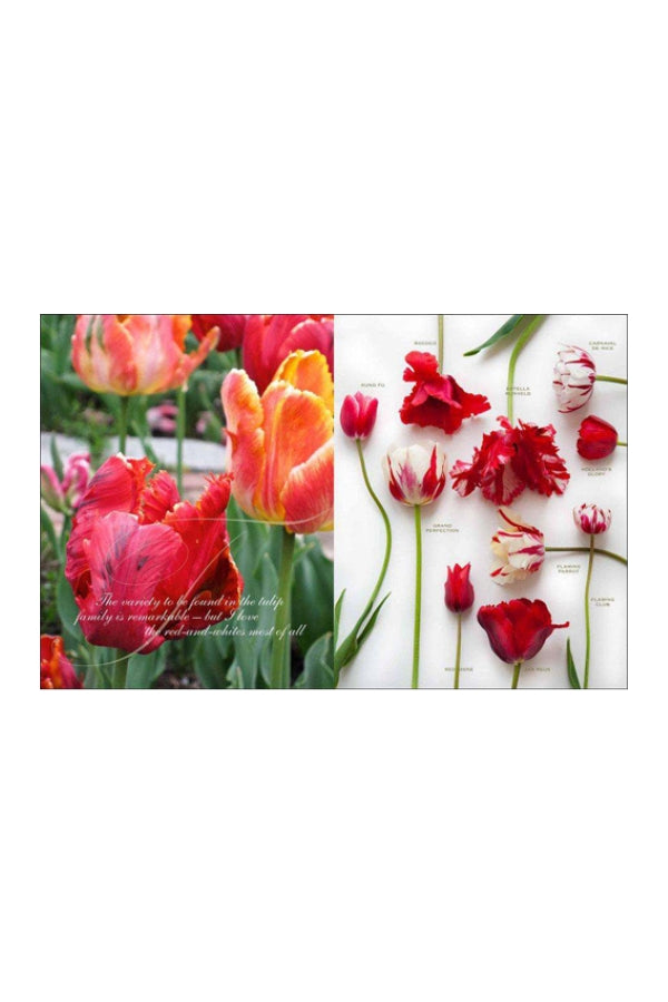 Flowers: My Garden Collection Carolyne Roehm - Magpie Style